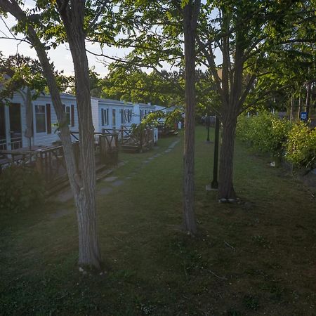 Natur Camping Landshause Burinhosa Eksteriør billede